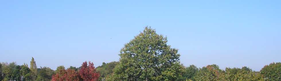 12 octobre 2010, 15h20